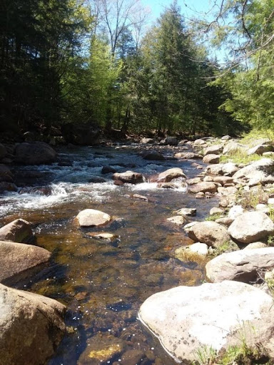 West Branch Brook